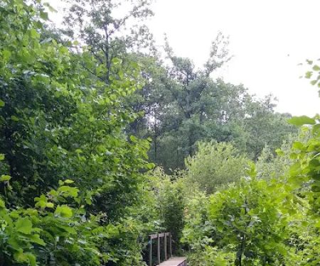 Wonder Lake State Park Hiking Trails
