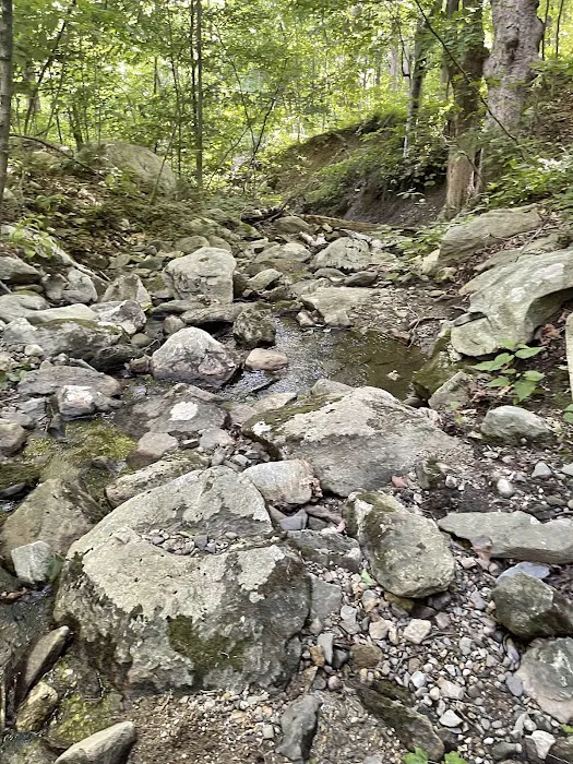 Wonder Lake State Park Hiking Trails Picture 4