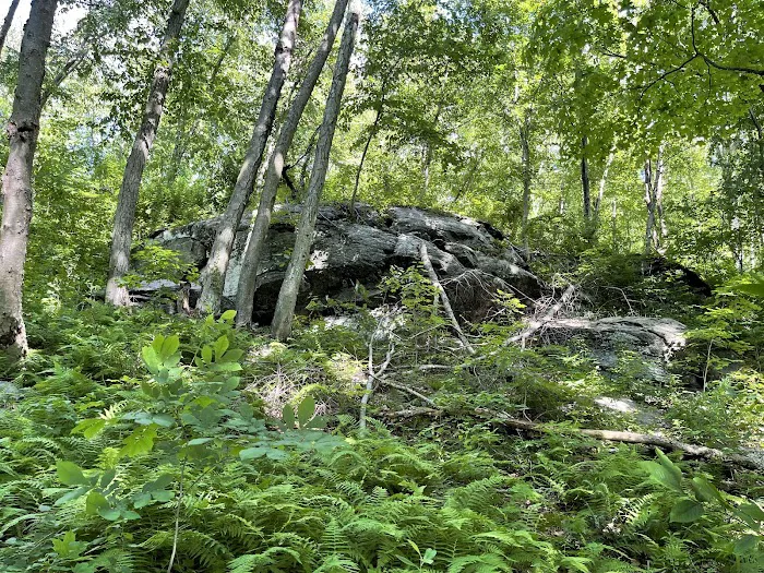 Wonder Lake State Park Hiking Trails Picture 10