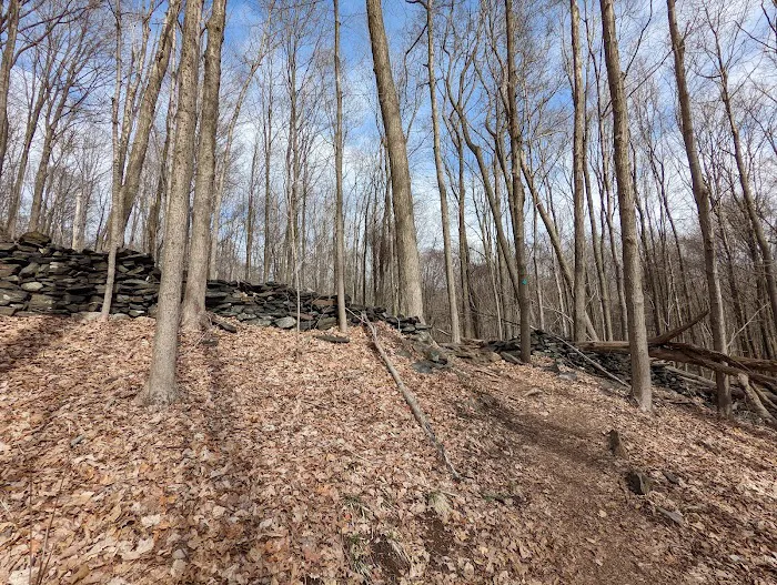 Wonder Lake State Park Hiking Trails Picture 3