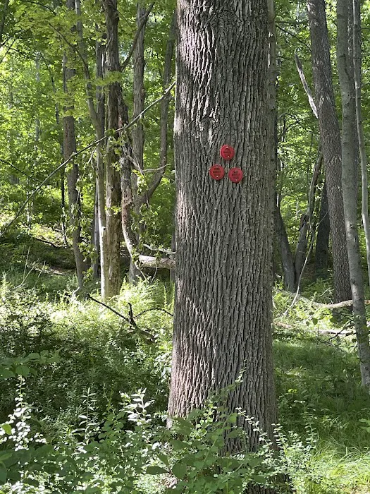 Wonder Lake State Park Hiking Trails Picture 9
