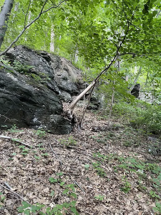 Wonder Lake State Park Hiking Trails Picture 6