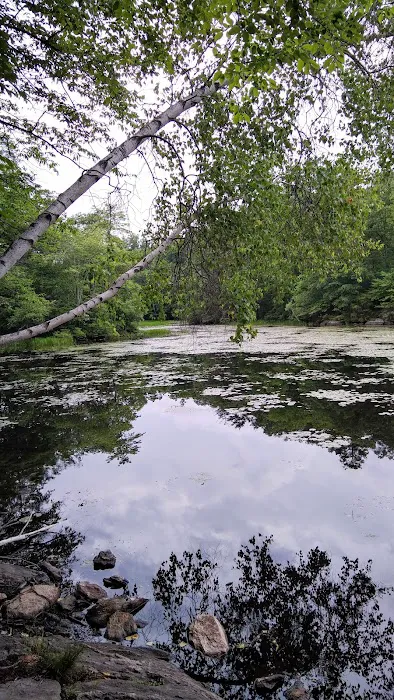 Wonder Lake State Park Hiking Trails Picture 2