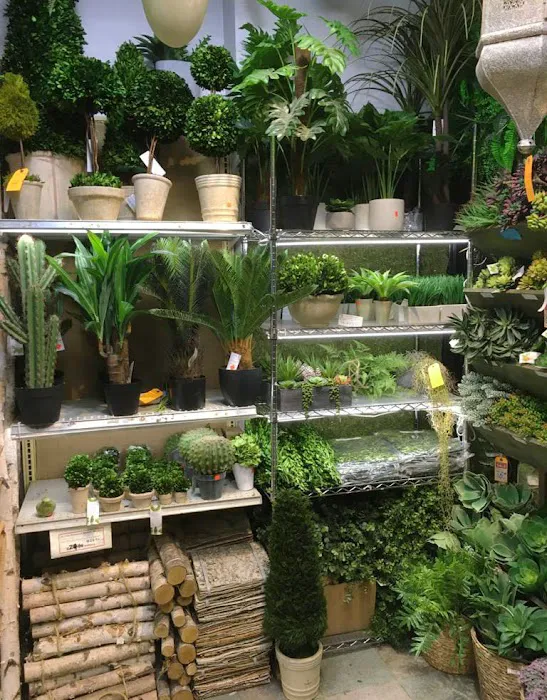Jamali Floral & Garden Picture 5