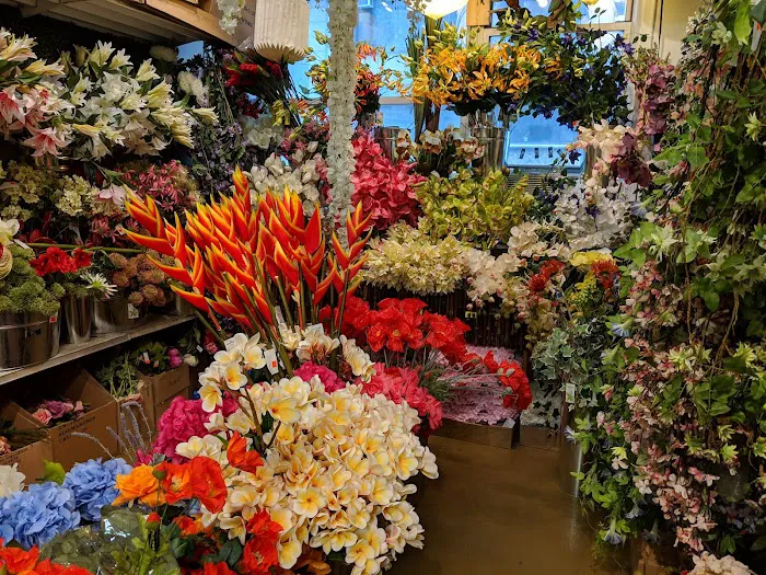 Jamali Floral & Garden Picture 4