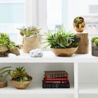 Jamali Floral & Garden ico