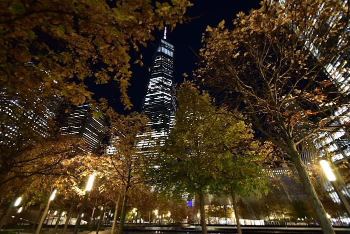 Ground Zero Picture 10