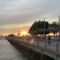 South Meadow ico