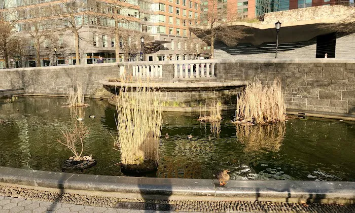 Lily Pond Picture 5