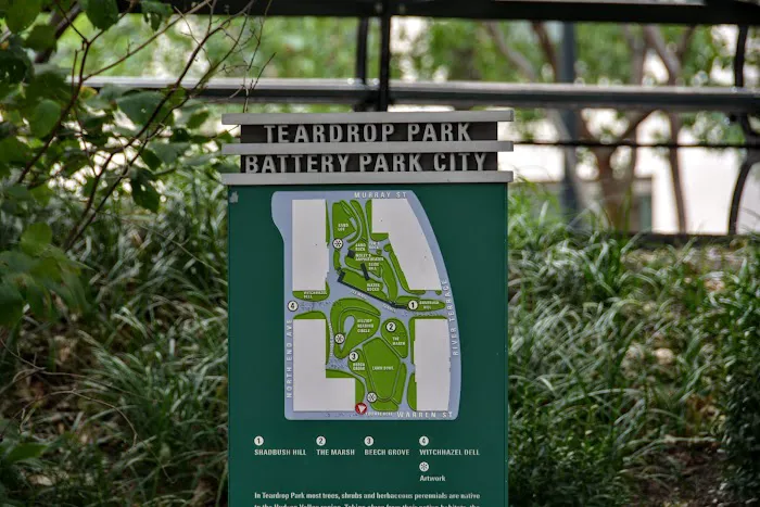 Teardrop Park Picture 10