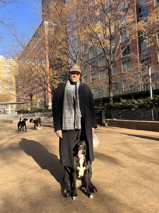 North End Dog Run Picture 8