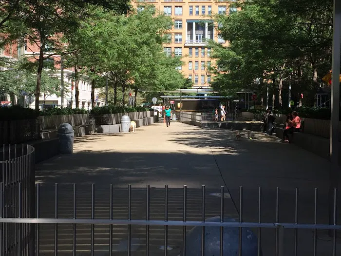 North End Dog Run Picture 1