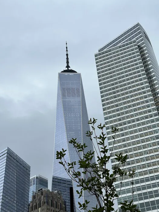 Battery Park City Soccer Fields Picture 3