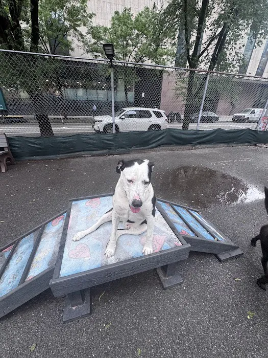 Tribeca Dog Run Picture 7
