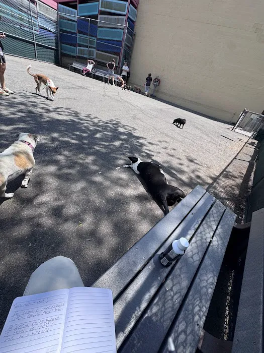 Tribeca Dog Run Picture 5