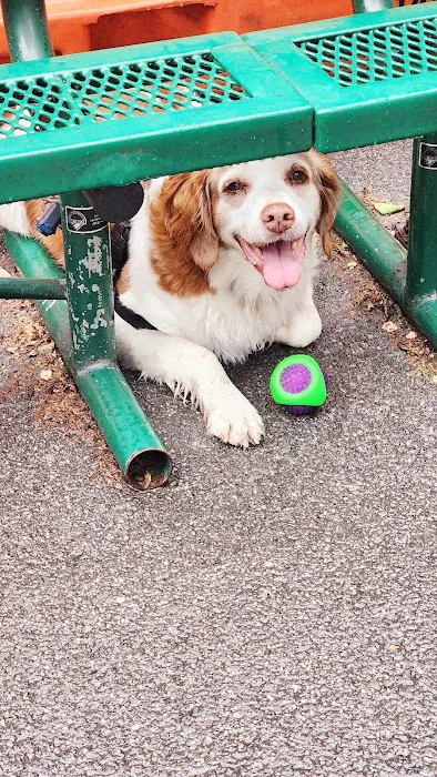 Tribeca Dog Run Picture 1
