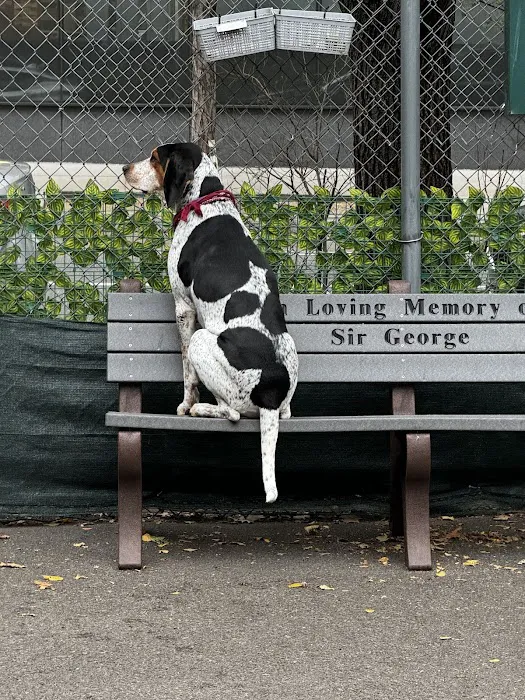 Tribeca Dog Run Picture 2