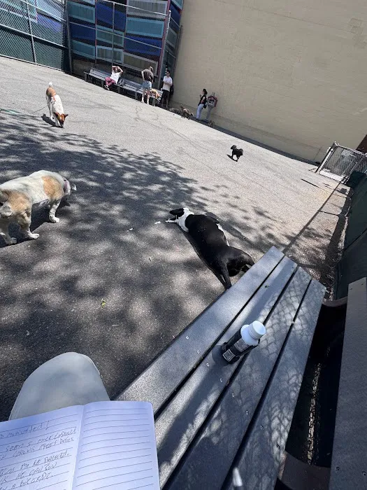Tribeca Dog Run Picture 4