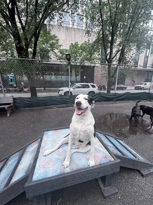 Tribeca Dog Run Picture 10