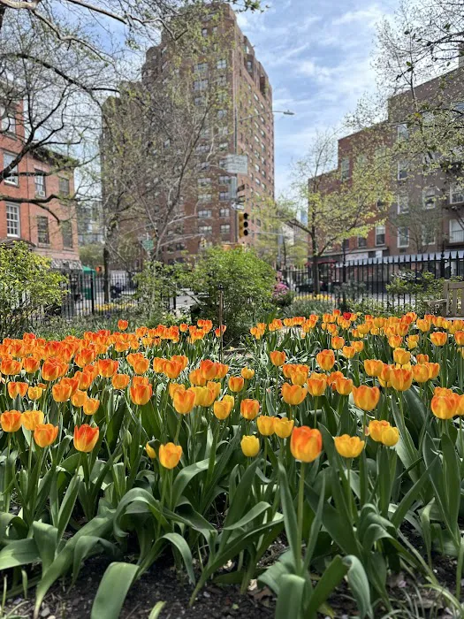 Jane Street Garden Picture 5