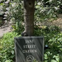Jane Street Garden ico