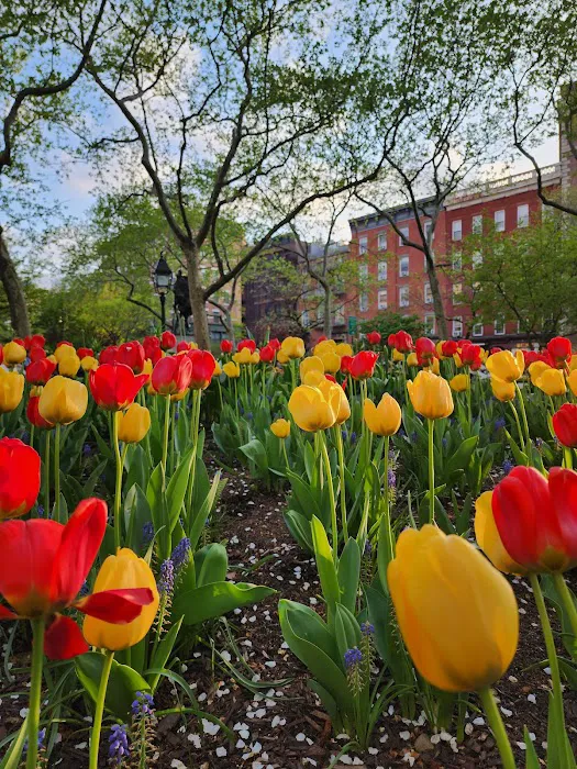 Abingdon Square Picture 9