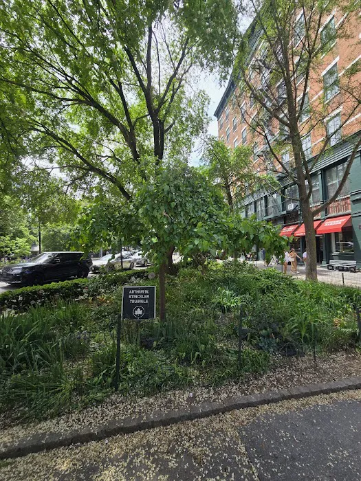 Arthur W. Strickler Triangle Picture 5