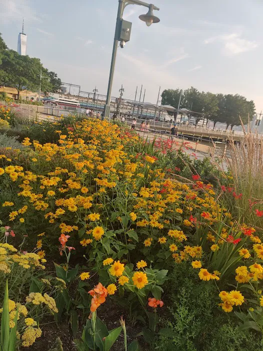 Stephan Weiss Park Picture 6