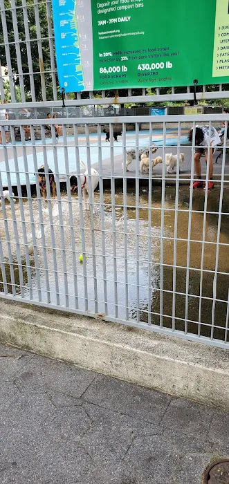 Leroy Street Dog Park Picture 10