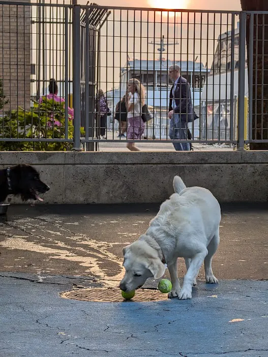 Leroy Street Dog Park Picture 3