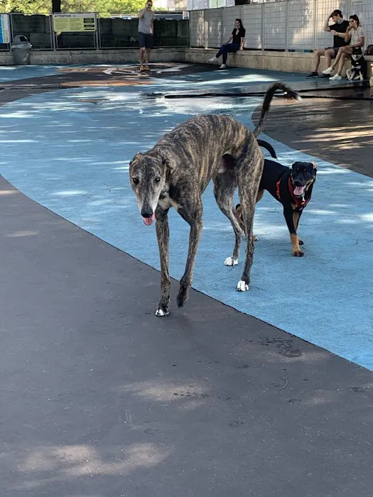 Leroy Street Dog Park Picture 9