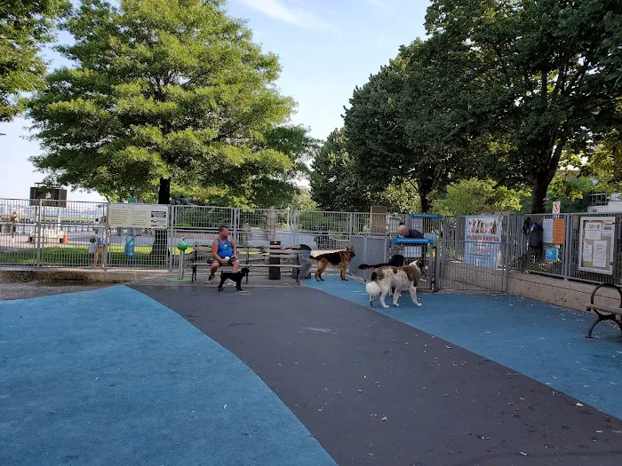 Leroy Street Dog Park Picture 5