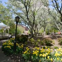 Washington Market Park ico