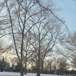 Kellogg Park