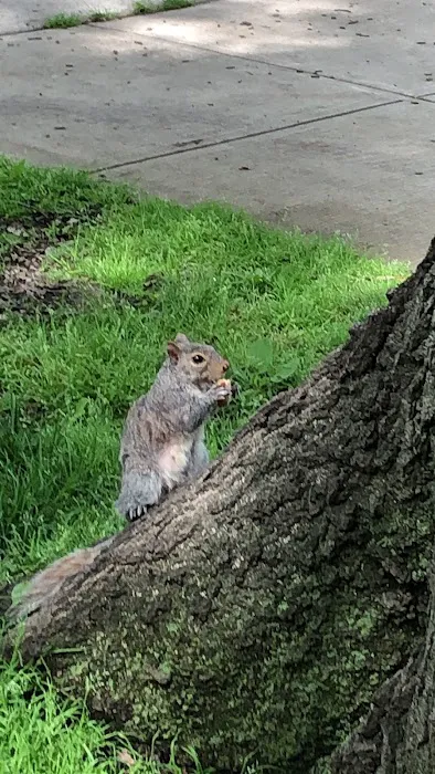 Kellogg Park Picture 10