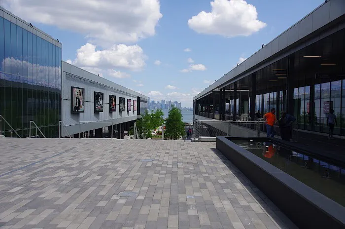 The Living Roof Picture 6