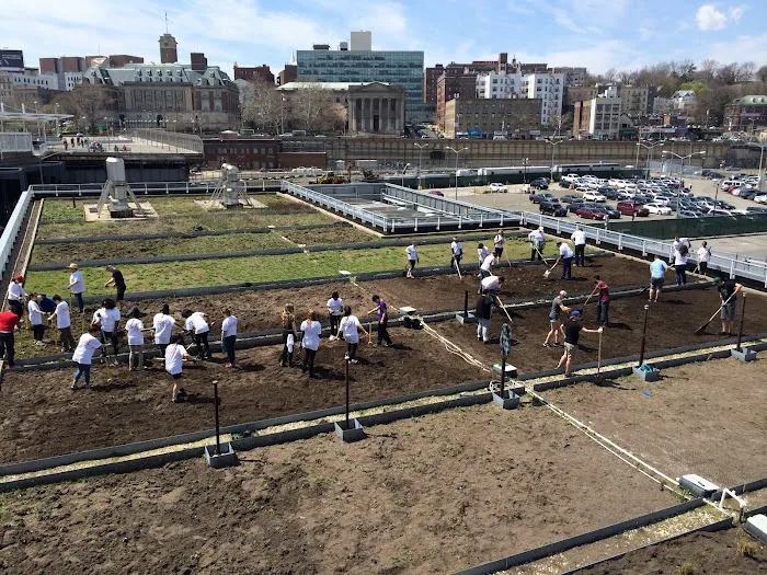 The Living Roof Picture 4