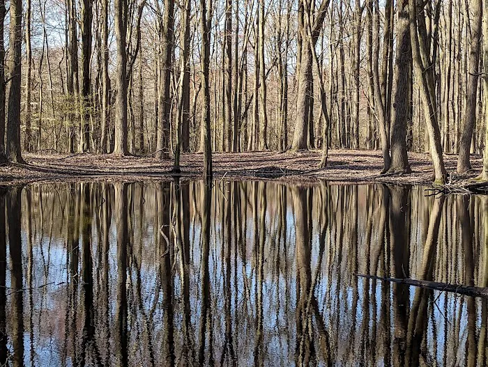 Arden Heights Woods Picture 1