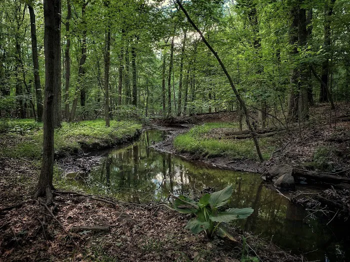 Arden Heights Woods Picture 4