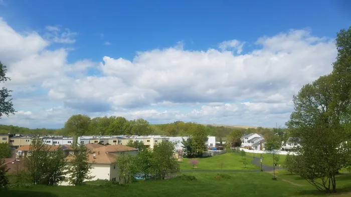 Village Greens Park(Private Park) Picture 5