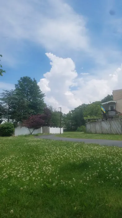 Village Greens Park(Private Park) Picture 3