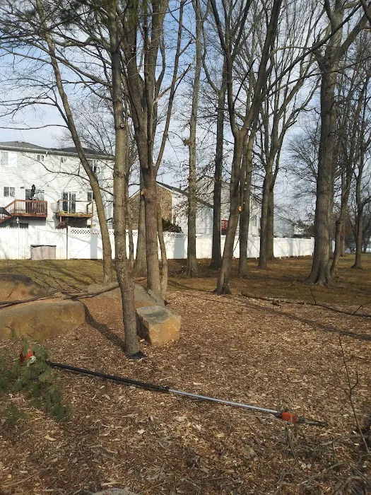 Village Greens Park(Private Park) Picture 9