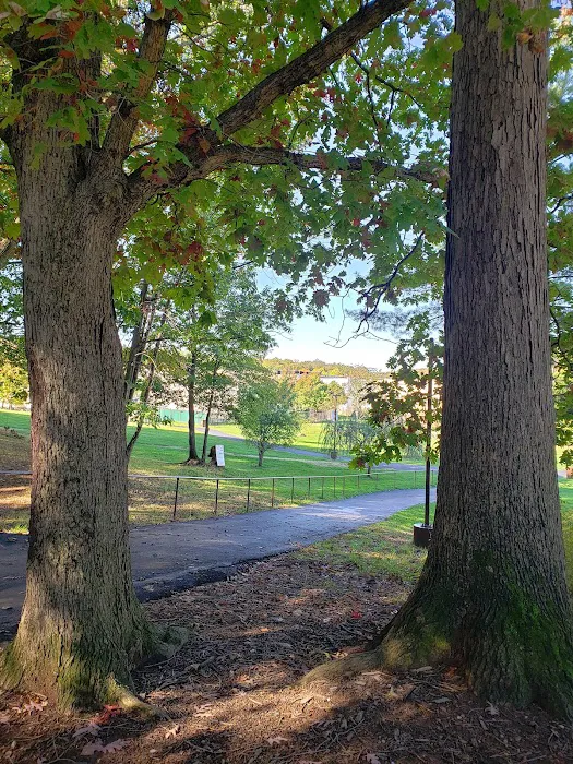 Park Villages Residents Association Inc. (Private Park ) Picture 4