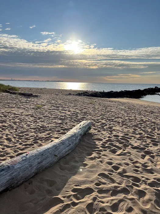 Cedar Grove Beach Picture 10