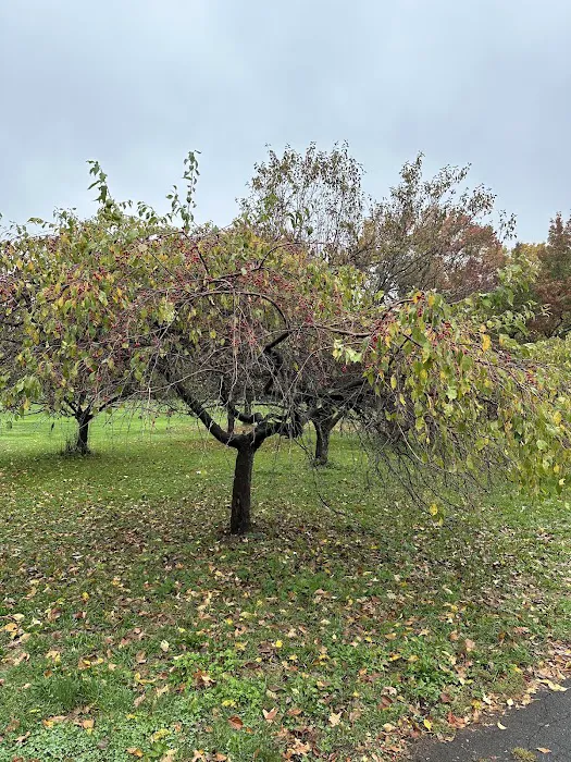Chatfield Garden Picture 2