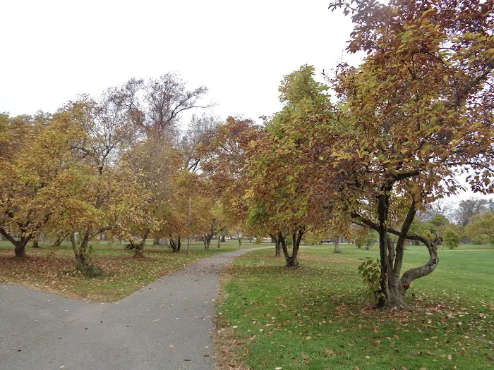 Chatfield Garden Picture 9