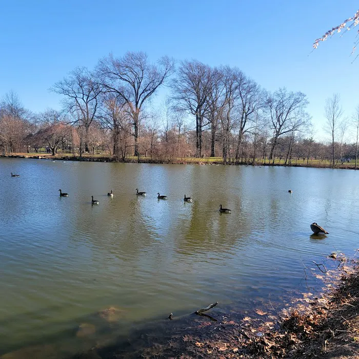 Warinanco Park Picture 7