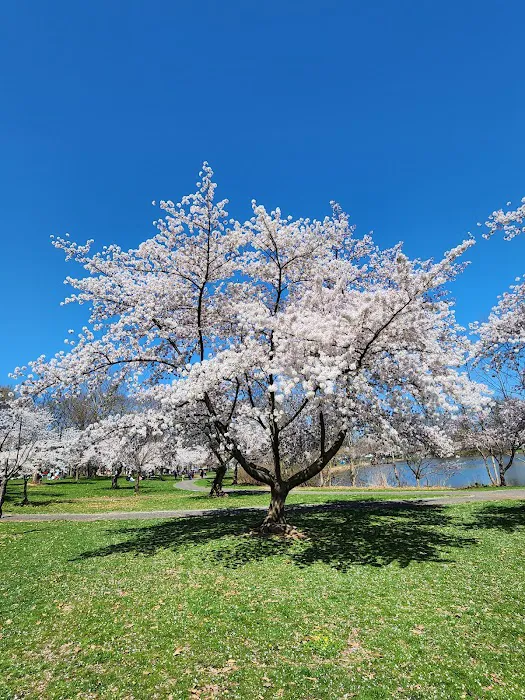 Warinanco Park Picture 6
