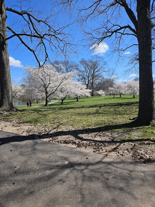 Warinanco Park Picture 10