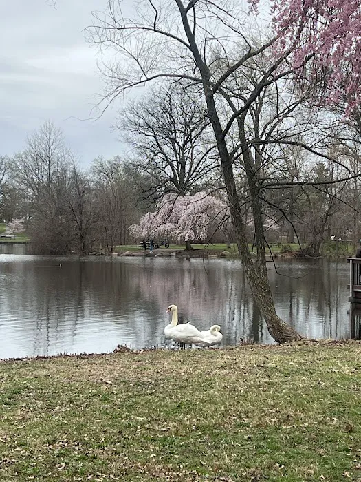 Warinanco Park Picture 9